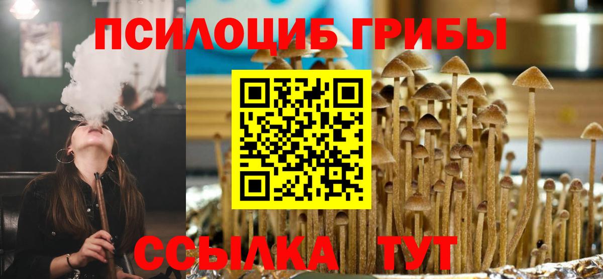 магазин продажи   Вход с VPN  Тула  Галлюциногенные грибы мухоморы  Псилоцибиновые грибы прущие грибы 