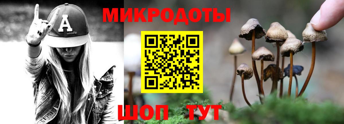 Галлюциногенные грибы Psilocybine cubensis Тула